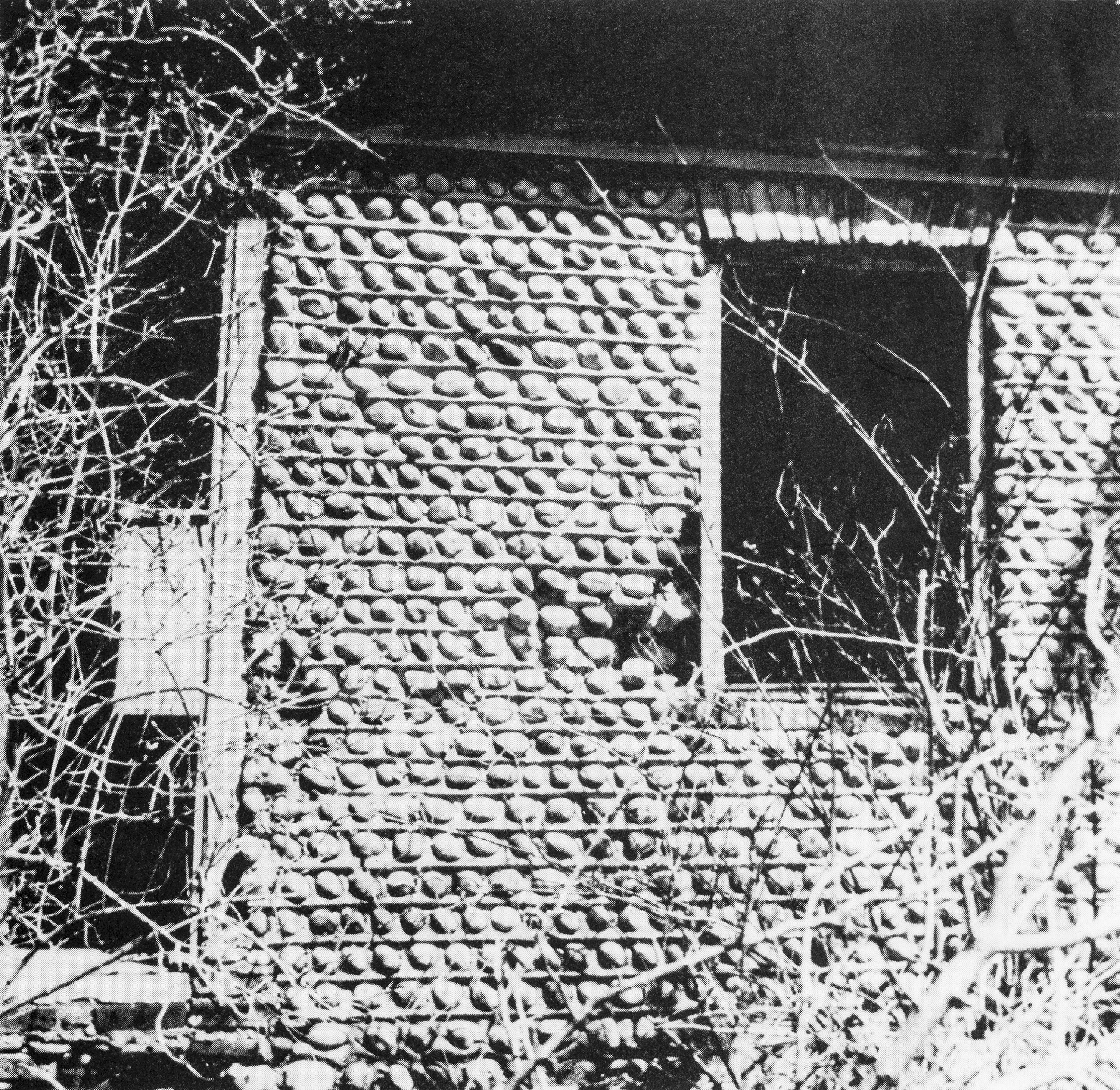 Mur-17 Harrison House 2